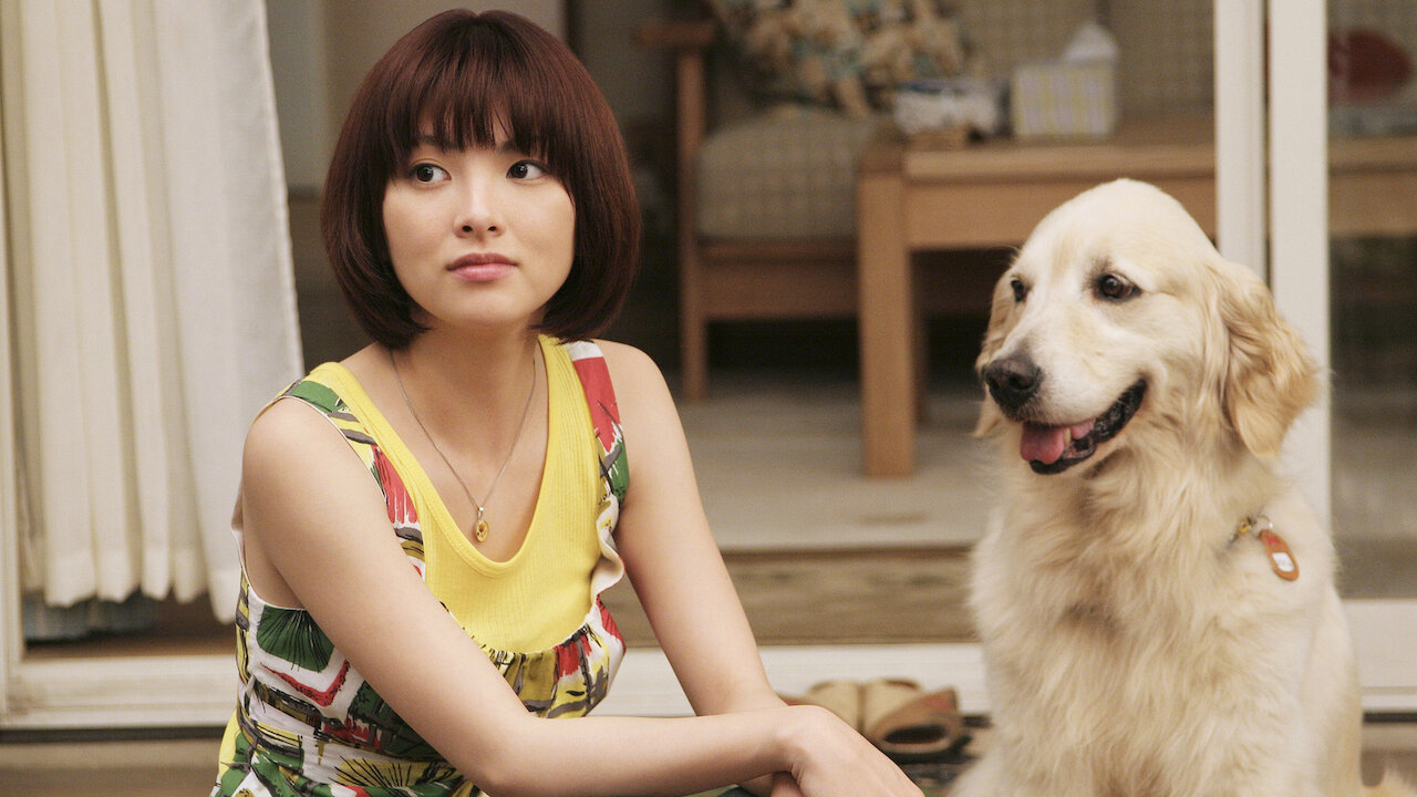 犬 と 私 の 10 の 約束 映画