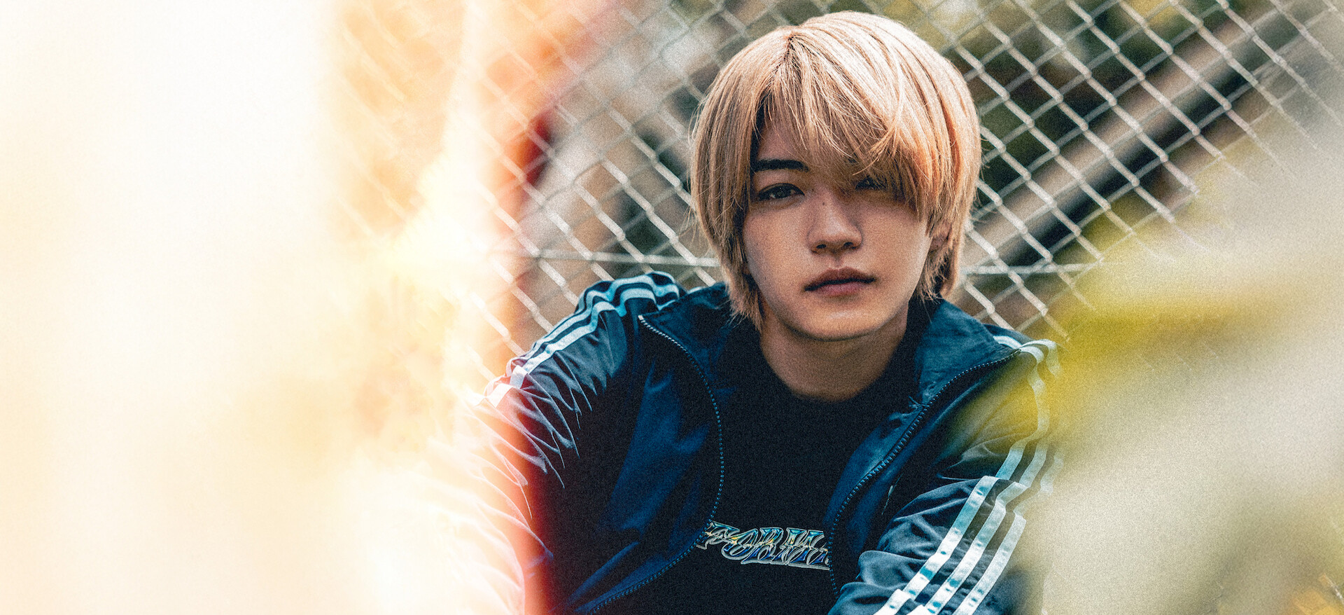 マトリと狂犬﻿を観﻿る | Netflix