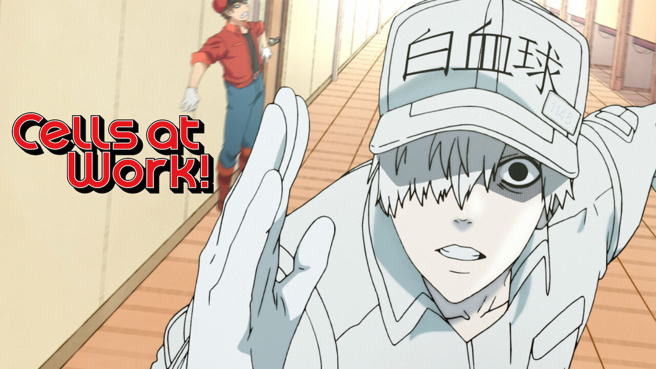 Is 'Cells at Work!' on Netflix? Where to Watch the Series - New On