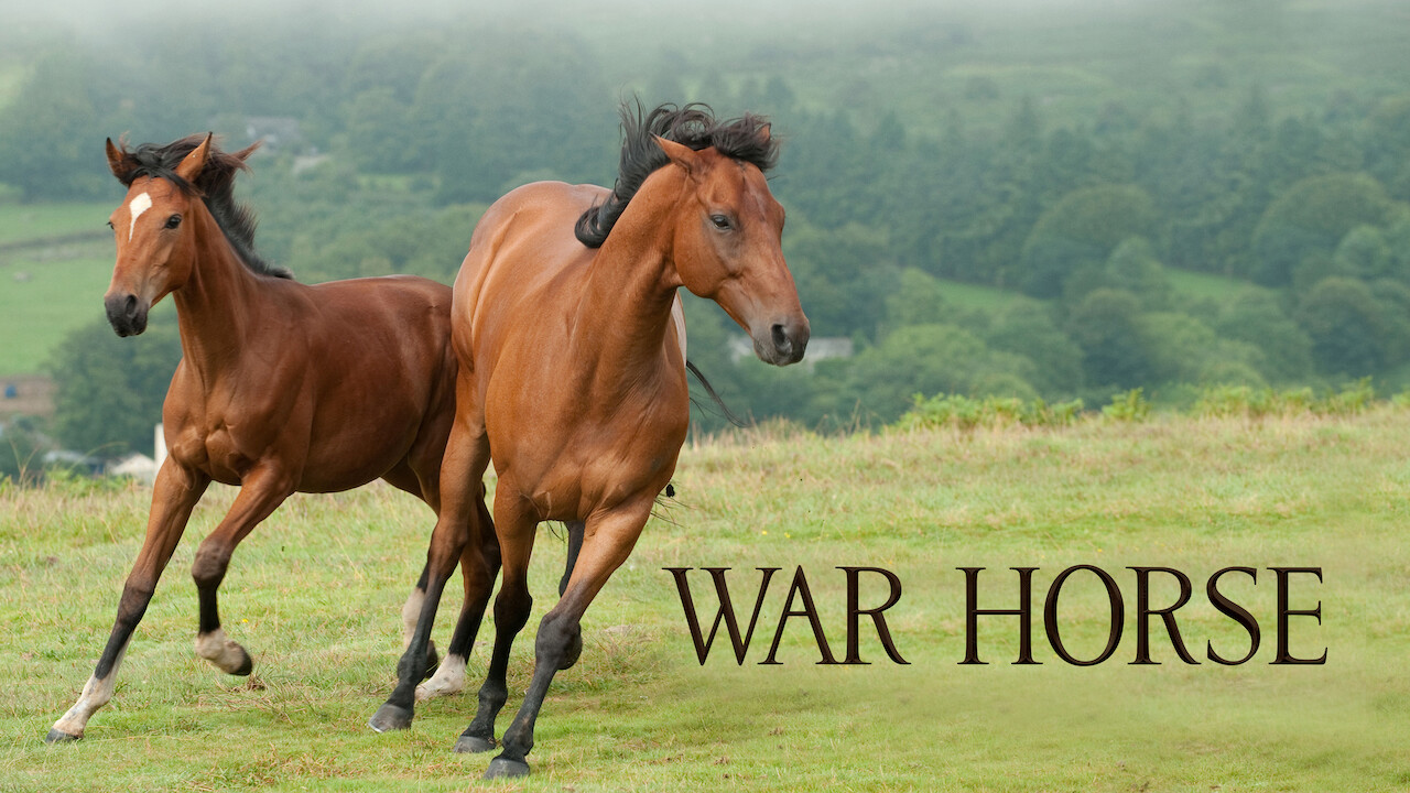 is-war-horse-on-netflix-where-to-watch-the-movie-new-on-netflix-usa