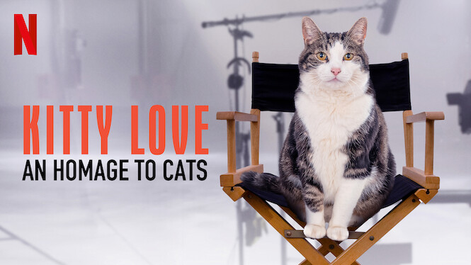 Kitty Love An Homage To Cats 21 On Netflix Usa New On Netflix Usa Forbes Alert