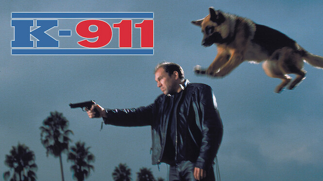 is-k-911-on-netflix-where-to-watch-the-movie-new-on-netflix-usa